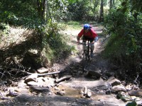 20060226-Mooney 165